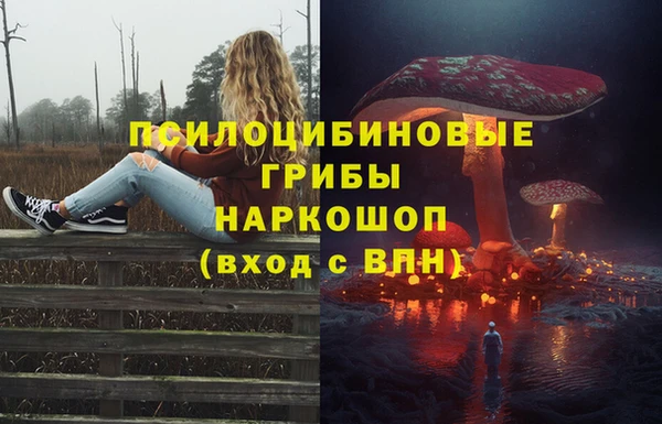 дмт Алексин