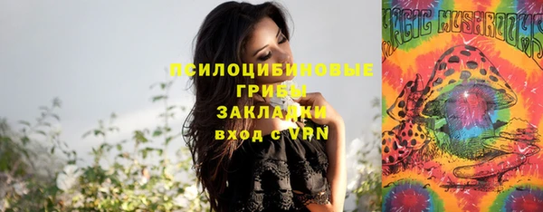 ALPHA PVP Алзамай