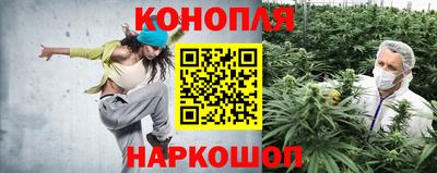 PSILOCYBIN Братск
