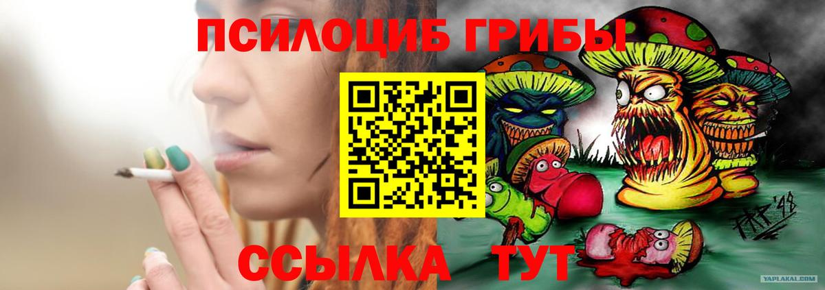Псилоцибиновые грибы GOLDEN TEACHER Владимир